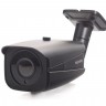 Уличная 1080p IP-видеокамера с вариофокальным объективом PNM-IP2-V12 v.2.3.5